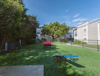 A yard with a bench and a ping pong table